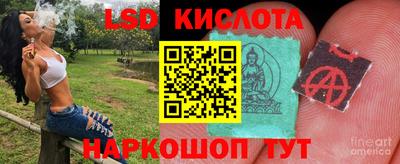 прущие грибы Кулебаки