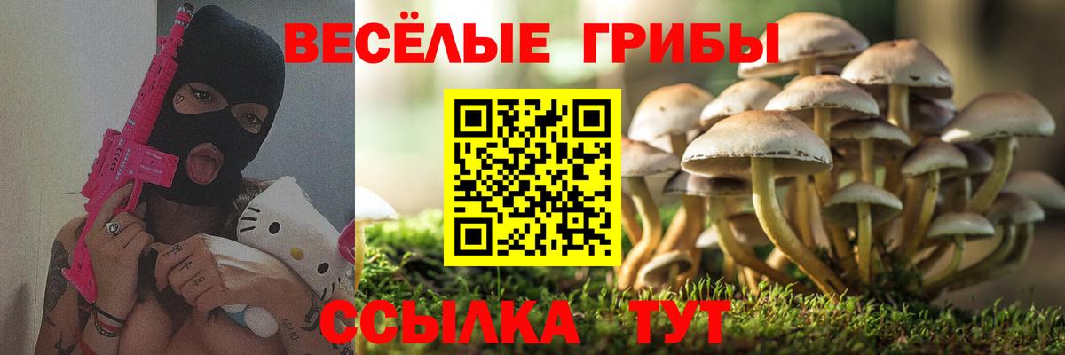 Галлюциногенные грибы GOLDEN TEACHER  Псилоцибиновые грибы мухоморы  Ирбит  Вход с VPN 